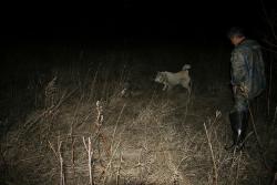 post-9148-0-96234200-1331380875_thumb.jp