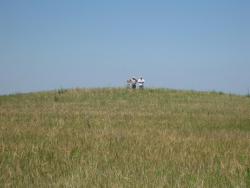 post-9148-0-99864900-1332070327_thumb.jp