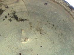 post-10547-0-61119800-1364116878_thumb.j