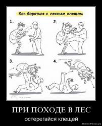 post-11523-0-56951000-1362110215_thumb.j