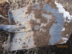 post-12688-0-02527200-1363756900_thumb.j