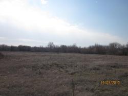 post-12688-0-05555600-1363757288_thumb.j