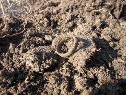 post-12688-0-20587200-1363756786_thumb.j