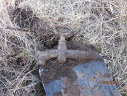 post-12688-0-76428000-1363756706_thumb.j