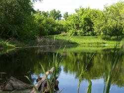 post-13075-0-00332200-1364273839_thumb.j