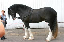 post-13075-0-00933800-1362668339_thumb.j