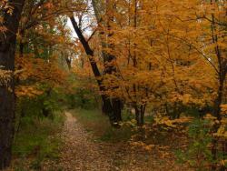 post-13075-0-24933100-1364274001_thumb.j