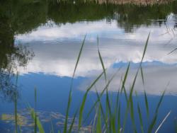 post-13075-0-31835100-1364273645_thumb.j