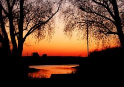 post-13075-0-39932600-1364274108_thumb.j