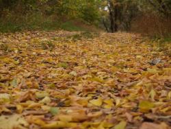 post-13075-0-43681000-1364273990_thumb.j