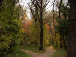 post-13075-0-44138900-1364274069_thumb.j