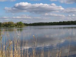 post-13075-0-52483000-1364273651_thumb.j