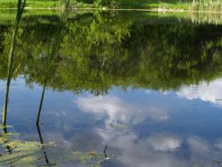 post-13075-0-57435200-1364273726_thumb.j