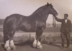 post-13075-0-59054000-1362668355_thumb.j