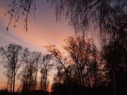 post-13075-0-89393300-1364274120_thumb.j