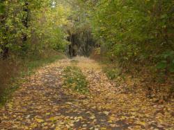 post-13075-0-90451100-1364273977_thumb.j