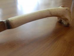 post-13973-0-17397800-1364417063_thumb.j