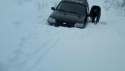 post-1615-0-95749000-1364713373_thumb.jp