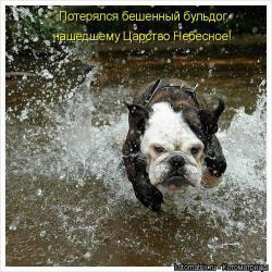 post-1724-0-17458100-1364223932_thumb.jp