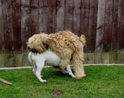 post-1724-0-30648000-1363482483_thumb.jp