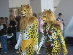 post-1724-0-99504400-1363482671_thumb.jp