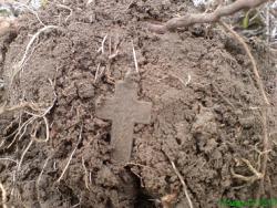 post-17557-0-47796500-1363801882_thumb.j