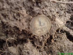 post-17557-0-74238300-1363801889_thumb.j