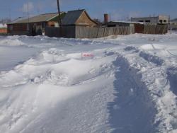 post-1887-0-55671700-1363016429_thumb.jp