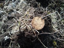 post-20472-0-82823400-1364303014_thumb.j