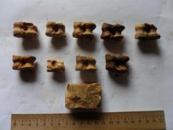 post-20810-0-33861500-1364514692_thumb.j