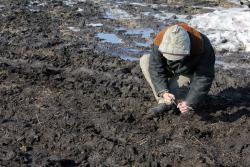 post-2202-0-01857100-1364136120_thumb.jp