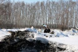 post-2202-0-25959600-1364135362_thumb.jp