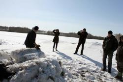 post-2202-0-40376700-1364134548_thumb.jp