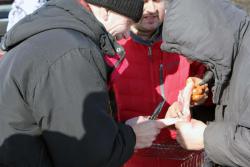 post-2202-0-41861100-1364135940_thumb.jp