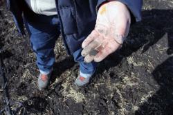 post-2202-0-67030500-1364135184_thumb.jp