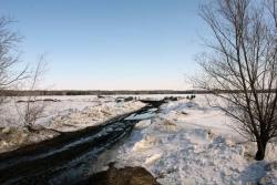 post-2202-0-78276700-1364136153_thumb.jp