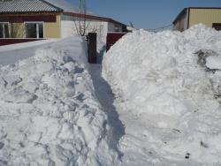 post-23116-0-86864000-1363187426_thumb.j