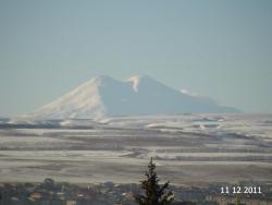 post-24263-0-45846000-1363704451_thumb.j