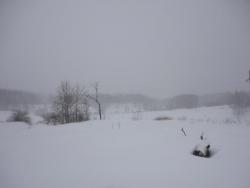 post-25835-0-06867800-1364123631_thumb.j