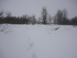 post-25835-0-15746100-1364123653_thumb.j