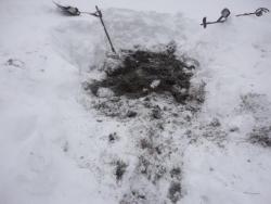 post-25835-0-16643100-1364125101_thumb.j