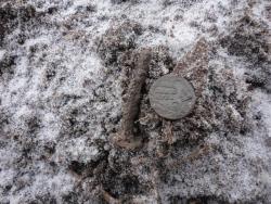 post-25835-0-21796400-1364125068_thumb.j