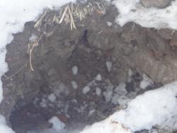 post-25835-0-47412400-1363641772_thumb.j