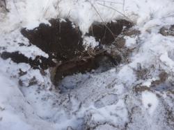 post-25835-0-67663900-1363666132_thumb.j