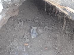 post-25835-0-83706500-1363641783_thumb.j