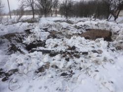 post-25835-0-87388600-1363641762_thumb.j