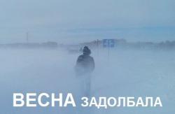 post-2838-0-04551000-1363151493_thumb.jp