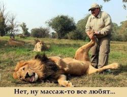 post-2838-0-04981800-1363446330_thumb.jp