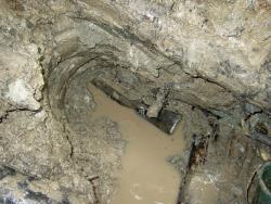 post-2838-0-16951100-1362288542_thumb.jp