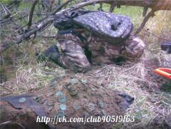 post-2838-0-17116700-1363329469_thumb.jp